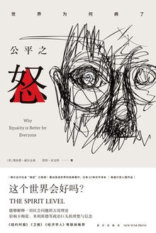 公平之怒在线阅读