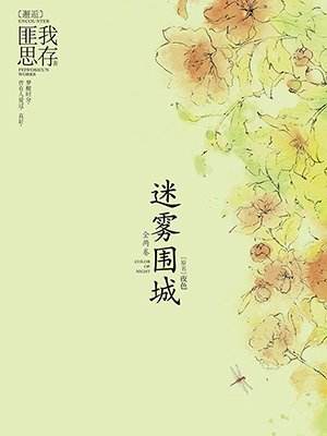 迷雾围城小说在线阅读