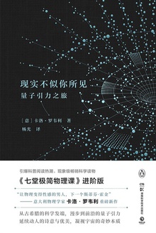 现实不似你所见：量子引力之旅小说在线阅读
