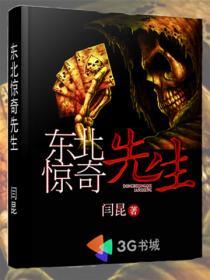 东北惊奇先生在线阅读
