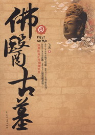 佛医古墓小说在线阅读