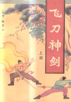 飞刀神剑小说在线阅读