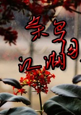 菜鸟闯江湖小说在线阅读