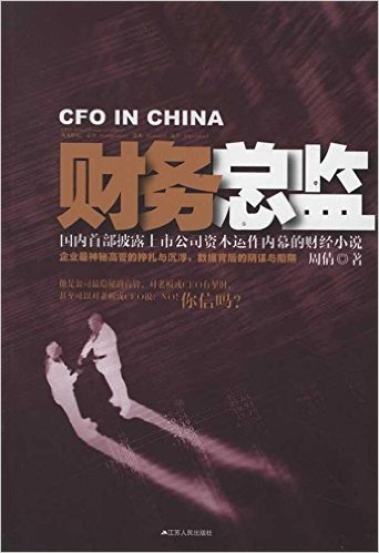 财务总监小说在线阅读