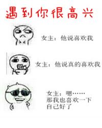 遇到你很高兴小说在线阅读
