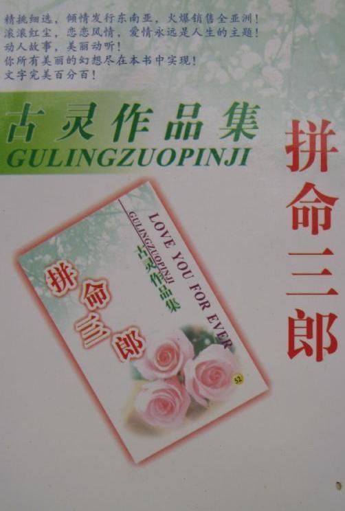 拼命三郎小说在线阅读