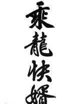 乘龙快婿小说在线阅读