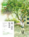 我一直在你身边小说在线阅读
