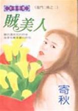贼美人小说在线阅读