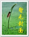 穿越之兰柯一梦小说在线阅读