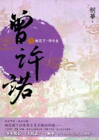 曾许诺·殇小说在线阅读