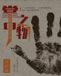 掌中之物在线阅读