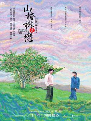 山楂树之恋在线阅读