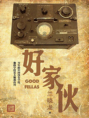 好家伙小说在线阅读