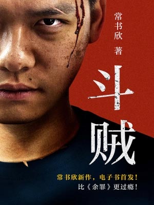 斗贼小说在线阅读