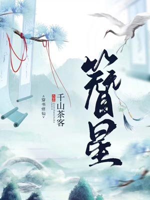 簪星小说在线阅读