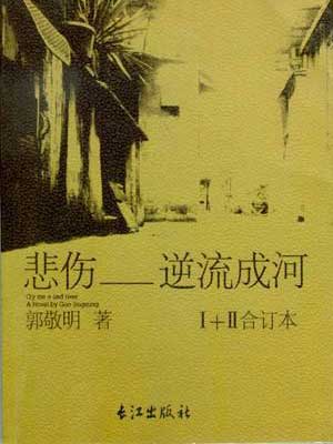 悲伤逆流成河小说在线阅读